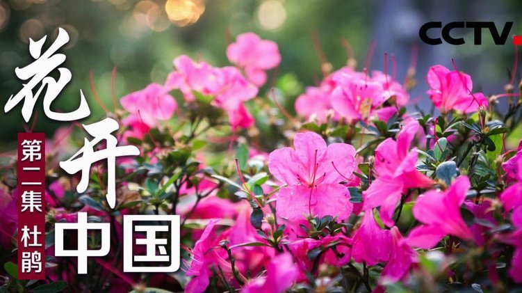 花呗套现隐藏的征信风险你了解吗？