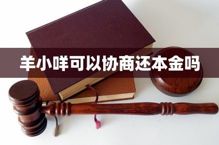 羊小咩如何有效协商还款