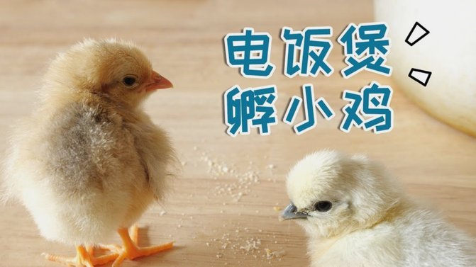 羊小咩购物额度怎么回收