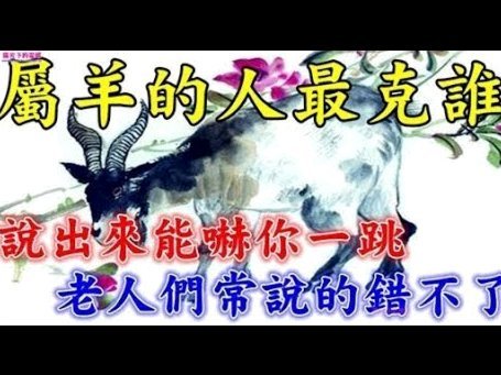 羊小咩提前还款，还能再借？