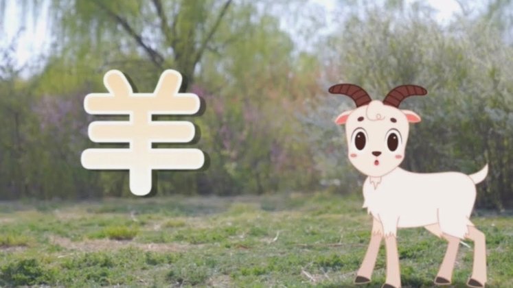 羊小咩发货地大揭秘