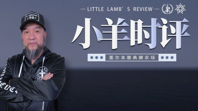 羊小咩临时额度能否分期