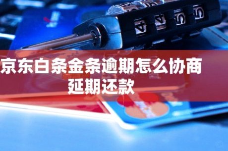 白条逾期协商技巧：现金还款攻略