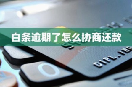 白条逾期怎么协商延期 现金还款