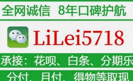 羊小咩额度查询指南：全攻略