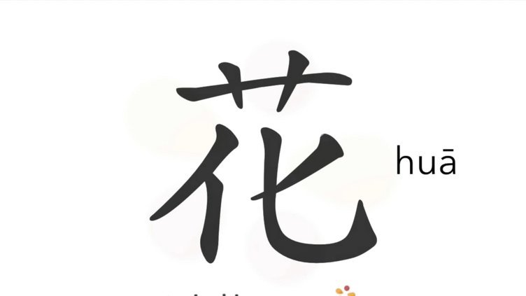 花呗“套还”揭秘：你真的理解信贷风险吗？