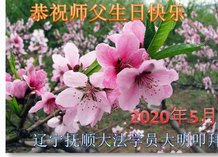 套花呗什么后果