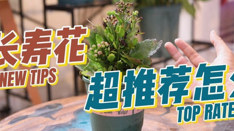 拿去花怎么套出来提现