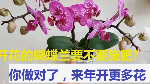 秒用花借款安全吗