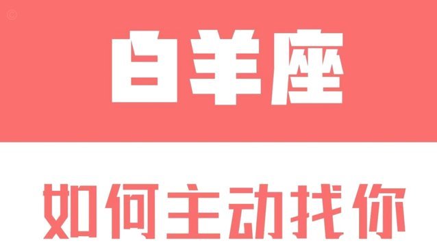 白条扫码：个人支付的专业解读