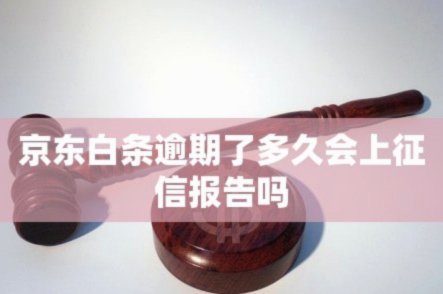 白条现在上征信了吗