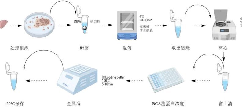 白条数据提取技术解析