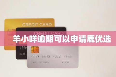 鹿优选先享卡不还会怎么样