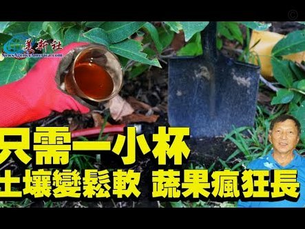 得物秒杀核心解析