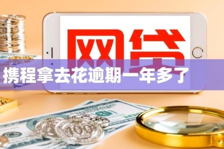 携程拿去花取现额度