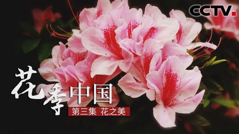 花呗平台正规吗 现在