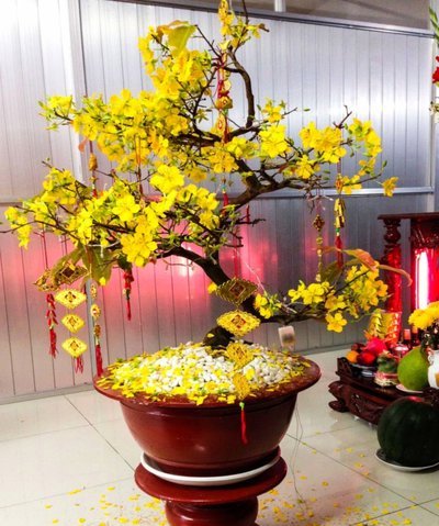 花呗取现全解析：小心使用