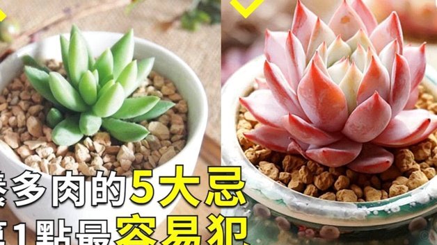 花呗取现：高利息贷款还是免费资金？