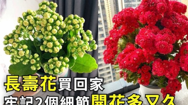 携程“拿去花”到底怎么用？官方攻略与注意事项