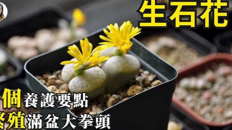 携程拿去花怎样套现