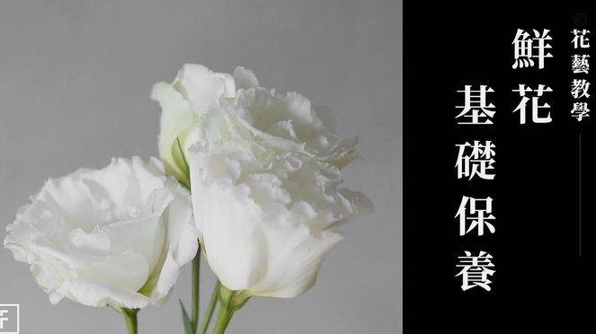 携程拿去花提前还款指南
