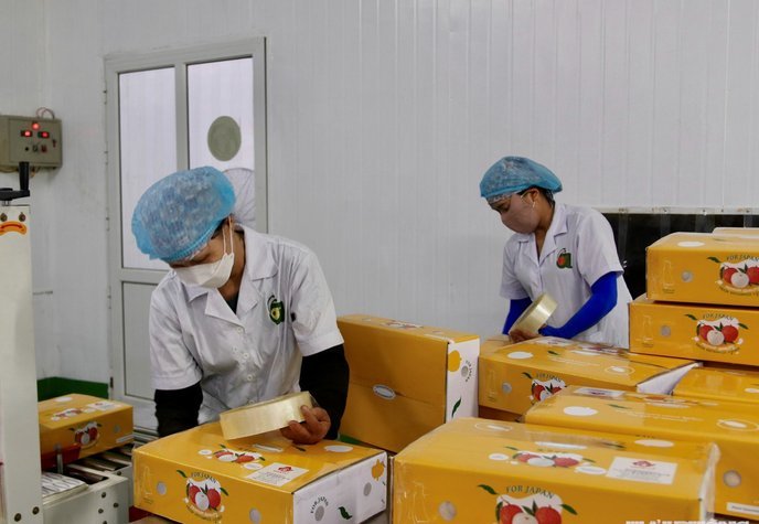 鹿优鲜哪里可以买 取货码呢