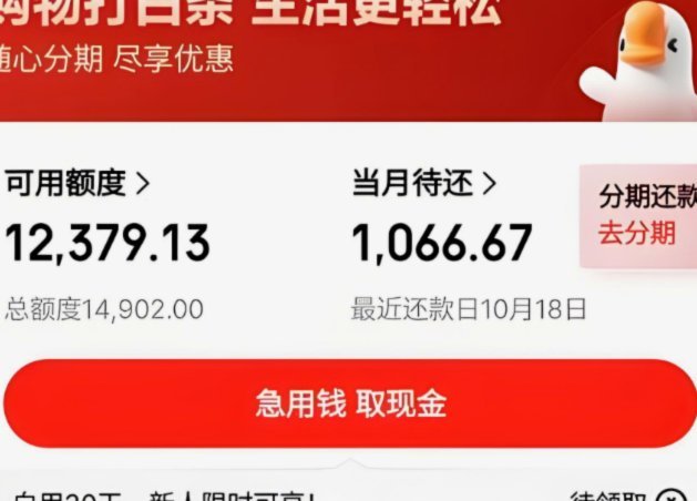 京东白条提现是什么意思