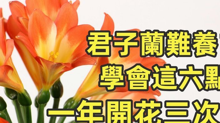 套现花呗有什么后果 现象
