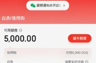 白条取现是什么意思可以用吗