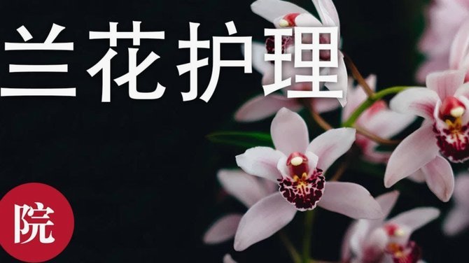 花呗套现：风险与技巧之道