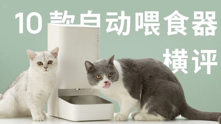 羊小咩借款好下款吗
