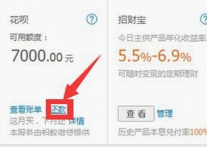 得物分期额度怎么套