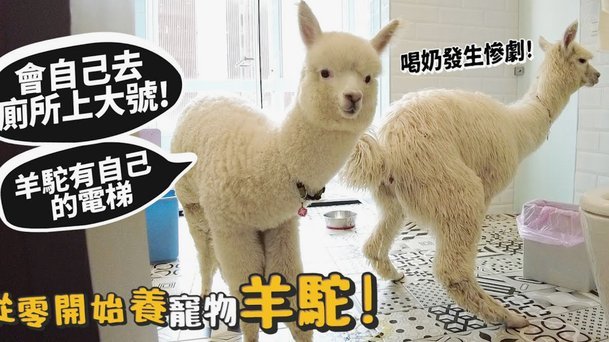 便荔卡包催收机制调整，停催申请受限