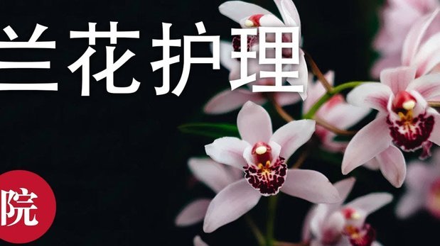 花呗代取现金的致命陷阱：你必须了解的三大风险