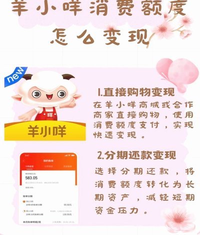 羊小咩额度怎么套出来现金