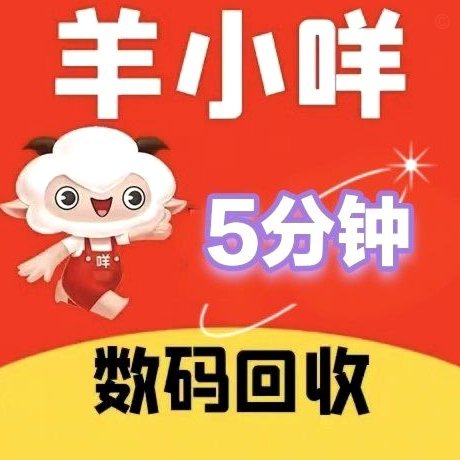 羊小咩额度怎么套出来现金