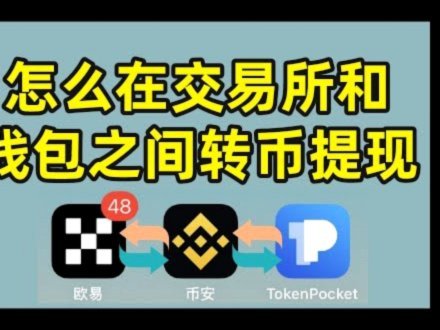 白条商家提现全攻略：从资金池到真实回款的底层逻辑解析