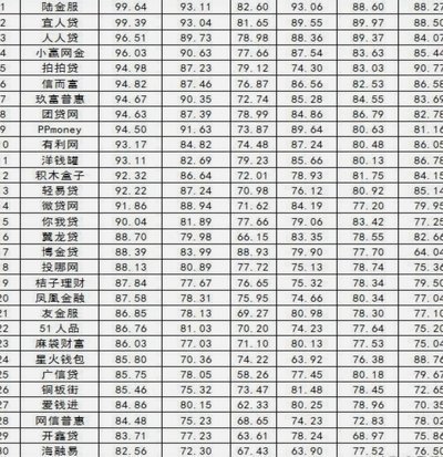 100个网贷平台查询