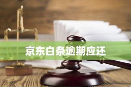 白条合作App全解析