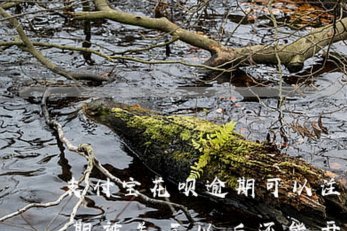 分付套现容易风控吗