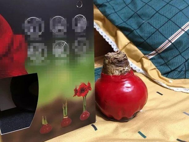 拿去花套现最忌三件事