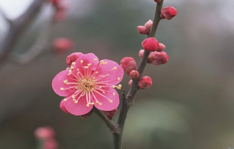 花呗转现
