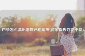 白条如何安全套用