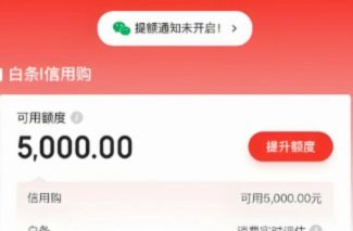 新模式与风险
