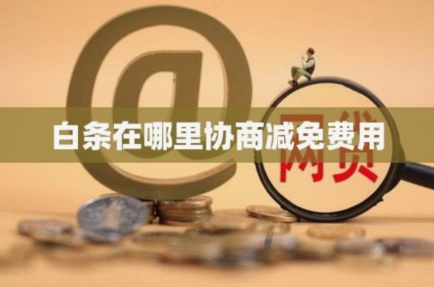 白条人工客服电话：提升用户体验与风险控制的关键作用