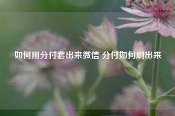 微信分付：灵活用不迷路