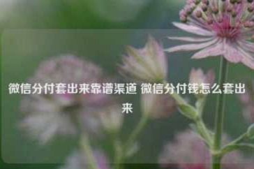 微信分付套出来 怎么用